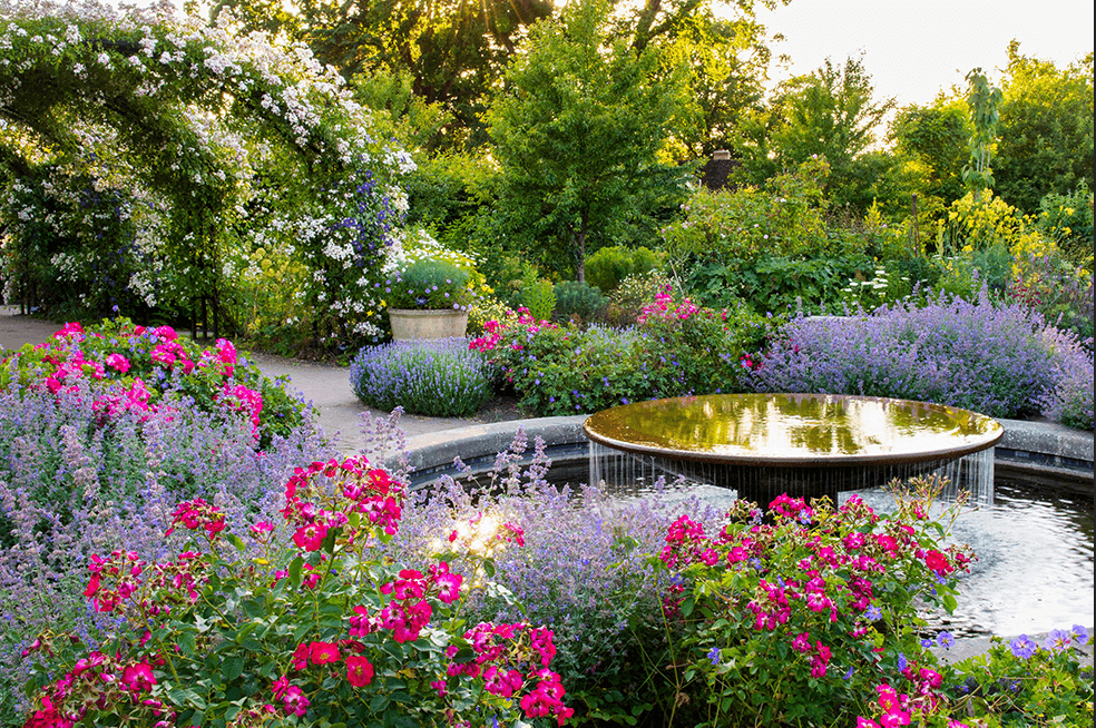 Chelsea flower show